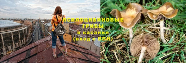 героин Алексин