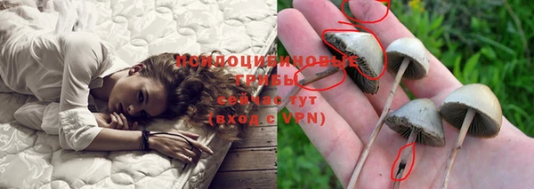 MDMA Premium VHQ Алексеевка